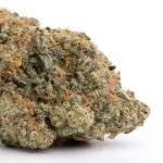 Gorilla Glue #4