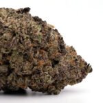 Grape Crush
