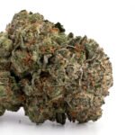 Grease Monkey