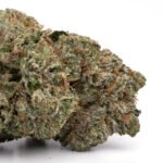 Greasy Pink Bubba