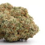 Green Crack