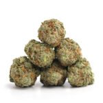 Harlequin - Image 2