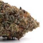 Hash Burger