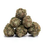 Hash Plant - Image 2
