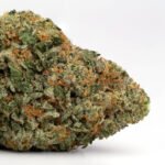 Hawaiian Haze