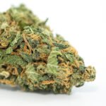 Hempstar