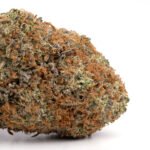 Herijuana