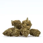 THCa Flower Gelato - Image 2