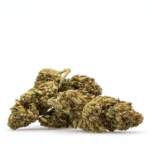 THCa Flower Gelonade - Image 2