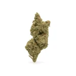 THCa Flower Gold Cash