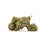 THCa Flower Gold Cash - Image 2
