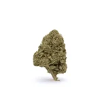 THCa Flower Granddaddy Purple