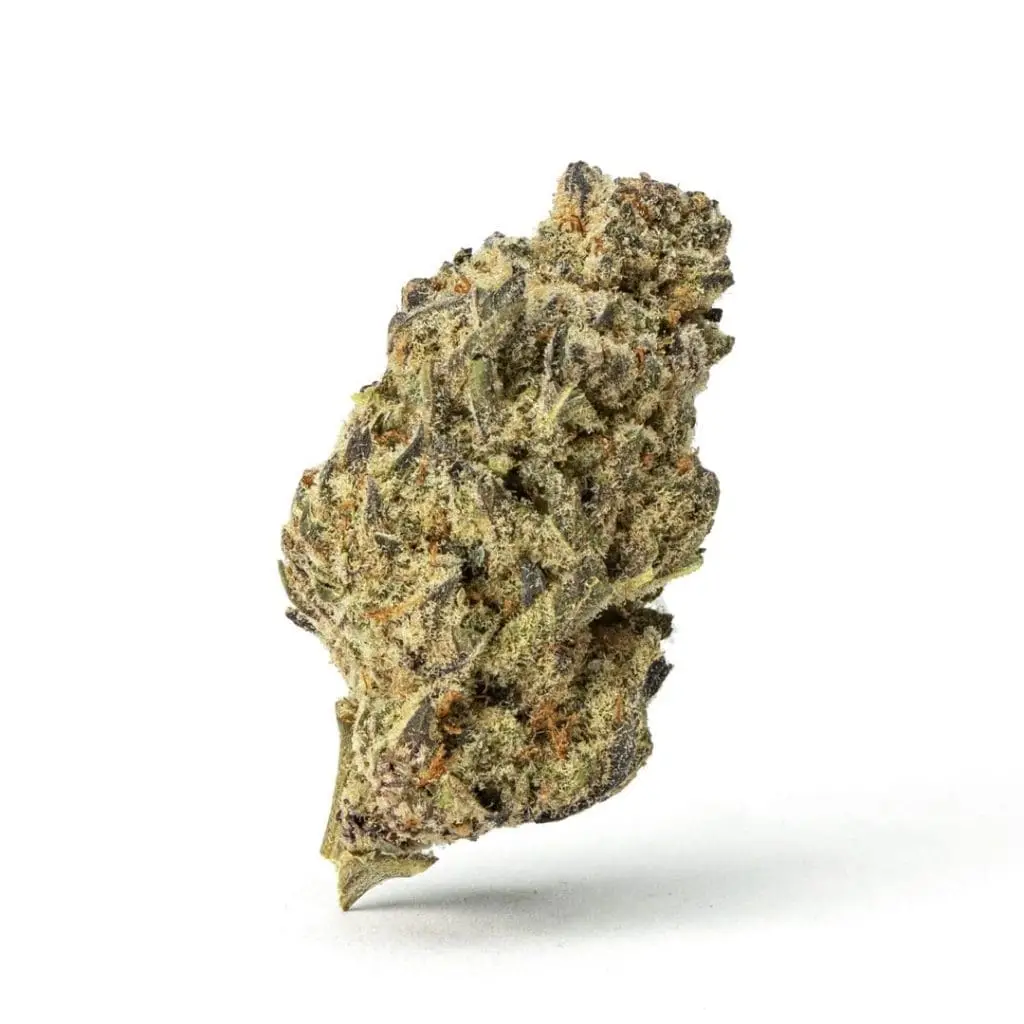 High-THCa-Grape-Frosty-Bud-1-scaled-1.webp THCa Flower Grape Frosty - Image 1