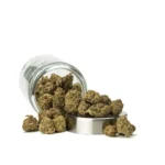 THCa Flower Han Solo - Image 2