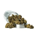 THCa Flower Hippie Crippler - Image 7