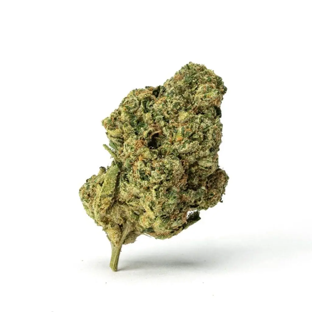 High-THCa-Mac-01-Bud-scaled-1.webp THCa Flower Mac 1 - Image 1