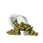THCa Flower Mac 1 - Image 2