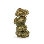 THCa Flower Runtz Smalls