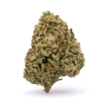 THCa Flower Watermelon Kush