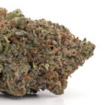 Island Pink Kush