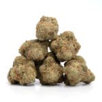 Island Sweet Skunk - Image 2
