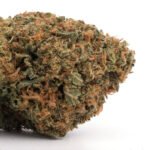 Jack the Ripper