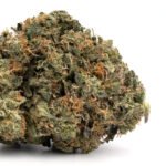 Jet Fuel