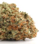 Jet Fuel Gelato