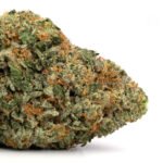 King Kush