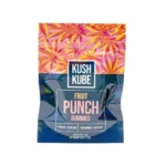 Kush Kube Delta 9 THC + CBD Gummies - Fruit Punch - Image 2