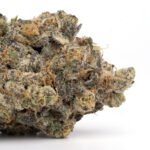 Kush Mints