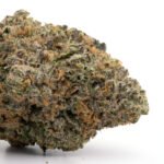 LA Confidential