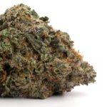 Lava Cake