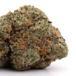 Lemon Gelato