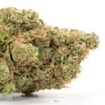 Lemon Haze
