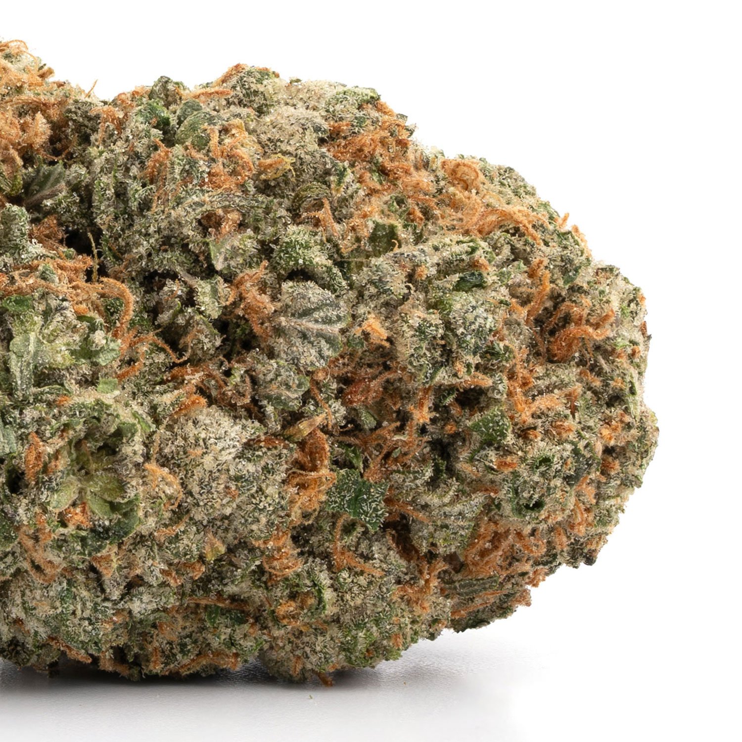 Lemon-Skunk-1.jpg Lemon Skunk - Image 1