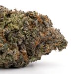Love Potion #9