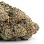 MK Ultra