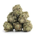 Mango Haze - Image 2
