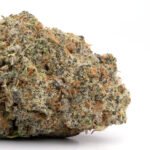 Master Kush