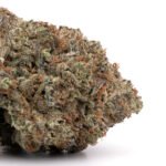 Master OG Kush