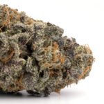 Meat Breath