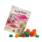 Mellow Fellow Dali's Dream M-Fusion Gummies - Fruit Punch (1000 mg Total Cannabinoids)