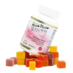 Mellow Fellow Wellness Gummies - Happy Blend - Tropic Medley (2000 mg Total Cannabinoids)