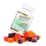 Mellow Fellow Wellness Gummies - Focus Blend - Tropic Medley (600 mg Total Cannabinoids)