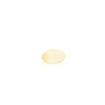 Mellow Fellow Wellness Softgel Capsules - Focus Blend (600 mg Total Cannabinoids) - Image 5