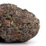Mendocino Purps