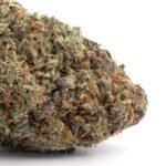 NYC Diesel