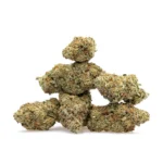 THCa Flower Night Walker - Image 2