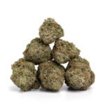 OG Glue Sniffer - Image 2